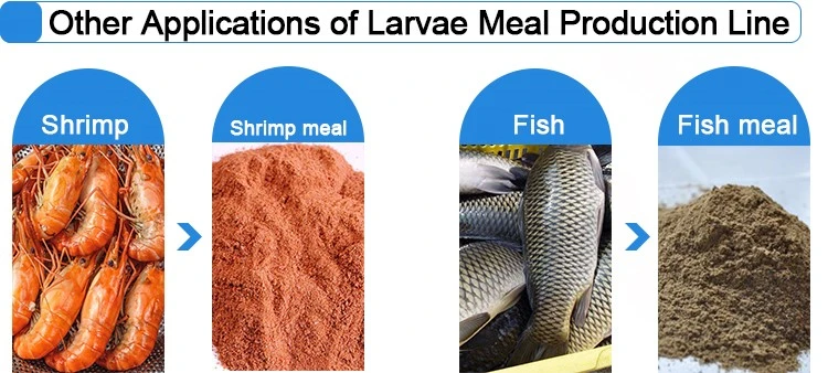 Fish Meal Production Line Fish Meal Production Line