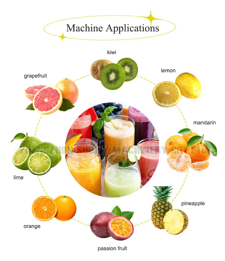 fruit juicer extractor fruit juicer extractor