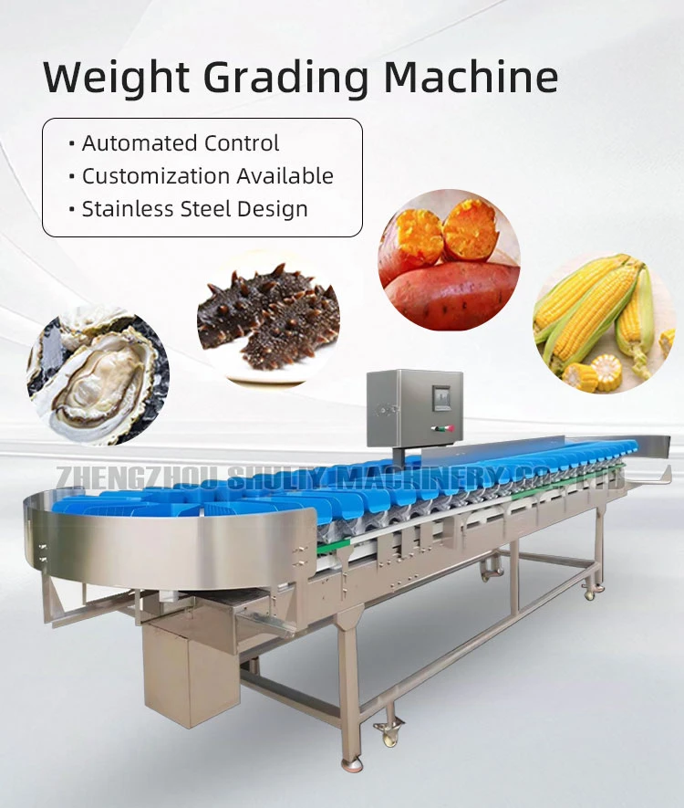 automatic fruit sorting machine automatic fruit sorting machine